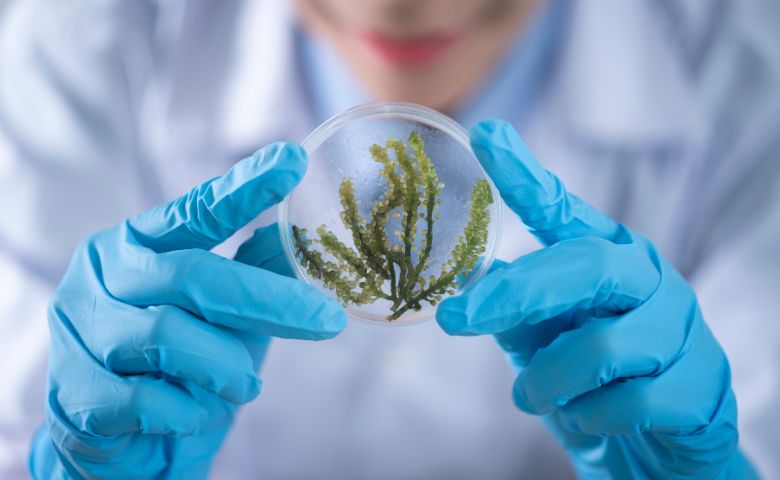 Science of discovery